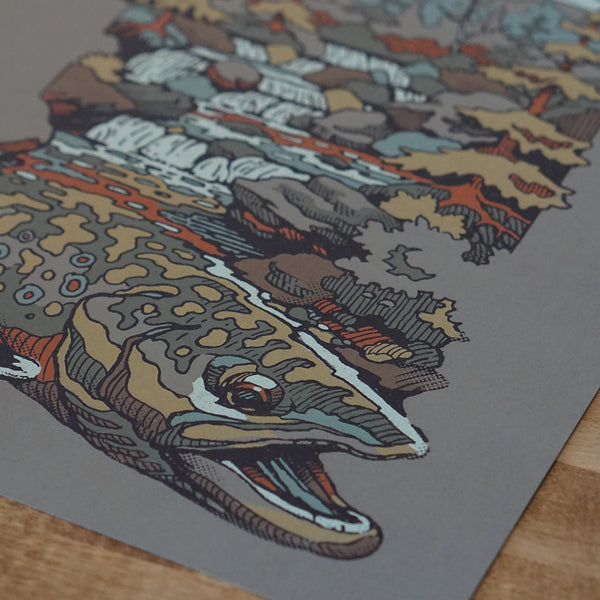 Brook Trout Waters 2.0 Print