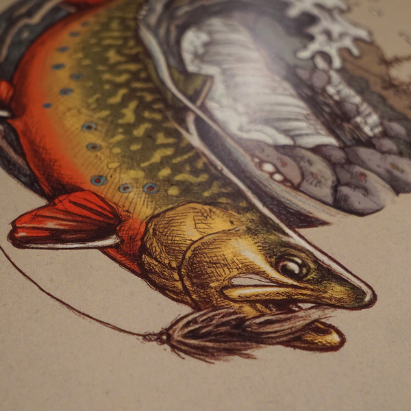 Brook Trout Wave Print