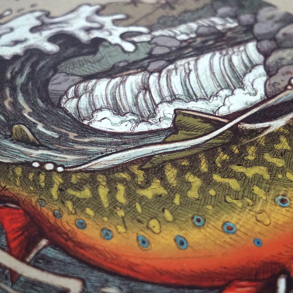 Brook Trout Wave Print