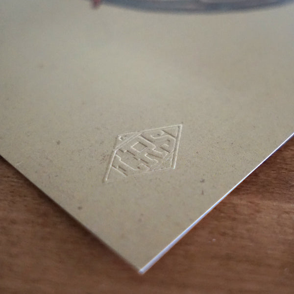 Brook Trout Wave Print