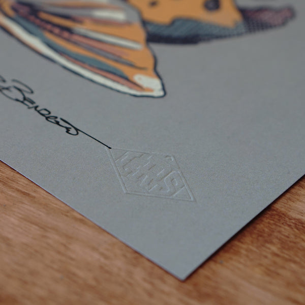 Brown Trout Waters 2.0 Print