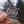 Load image into Gallery viewer, Catch Ya Later Iron-on Patch