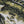 Load image into Gallery viewer, Largemouth Shorelines Tee
