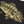 Load image into Gallery viewer, Smallmouth Shorelines Tee