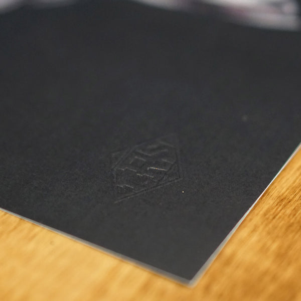 Steelhead Cycle Print