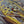 Load image into Gallery viewer, Brown Trout Waters Print