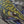 Load image into Gallery viewer, Brook Trout Waters Print