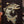 Load image into Gallery viewer, Troutscape Print