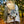 Load image into Gallery viewer, Back Eddy Sling Pack