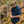 Load image into Gallery viewer, Trout Topo Button Up