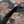 Load image into Gallery viewer, Trout Leaf Jacket