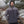 Load image into Gallery viewer, Troutstooth Jacket
