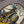 Load image into Gallery viewer, Mayfly Rodeo Tee