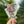 Load image into Gallery viewer, Reverse Snorkel Decal