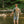 Load image into Gallery viewer, River Rats Tee