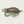 Load image into Gallery viewer, Spey Fly Decal