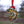 Load image into Gallery viewer, Brown Trout Enamel Ornament