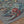 Load image into Gallery viewer, Cutthroat Trout Waters 2.0 Print
