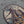 Mayfly Rodeo | UPF Hoodie