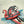 Load image into Gallery viewer, Reverse Snorkel | UPF Hoodie
