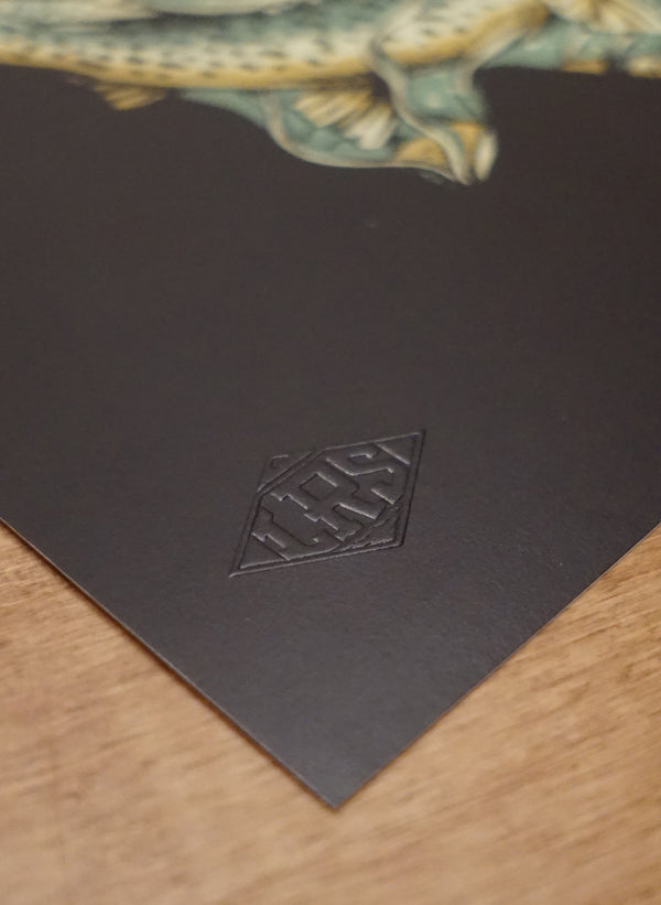 Troutscape Print