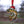 Load image into Gallery viewer, Brown Trout Enamel Ornament
